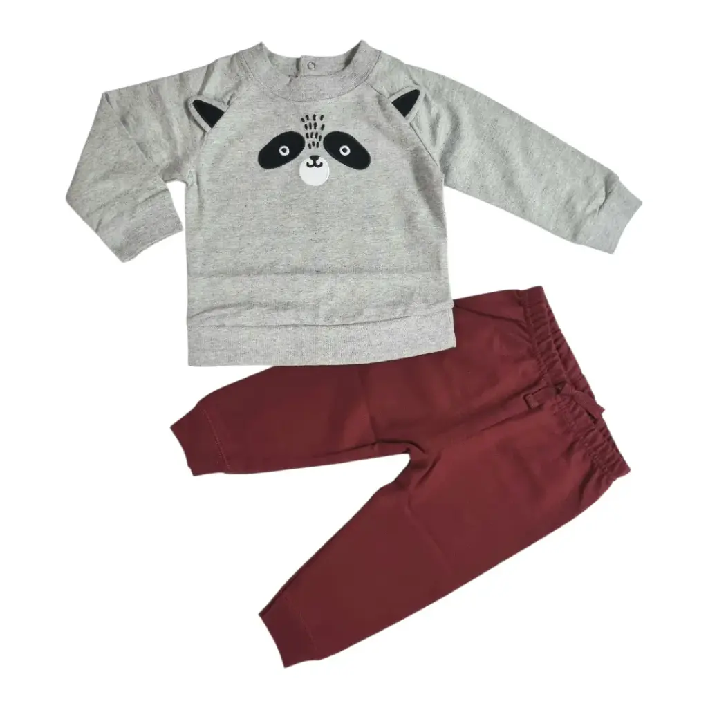 Set 🦝de algodón con jogger talla 9 meses.