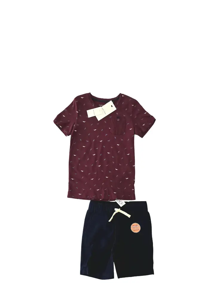 Camisa y short cargo talla 6
