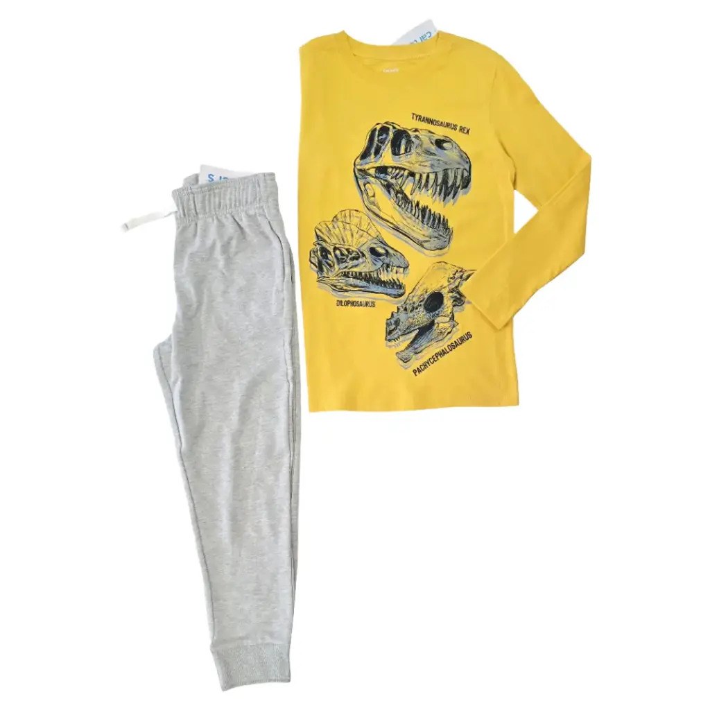 Camiseta 🦖 manga larga y buzo gris de algodón, talla 8