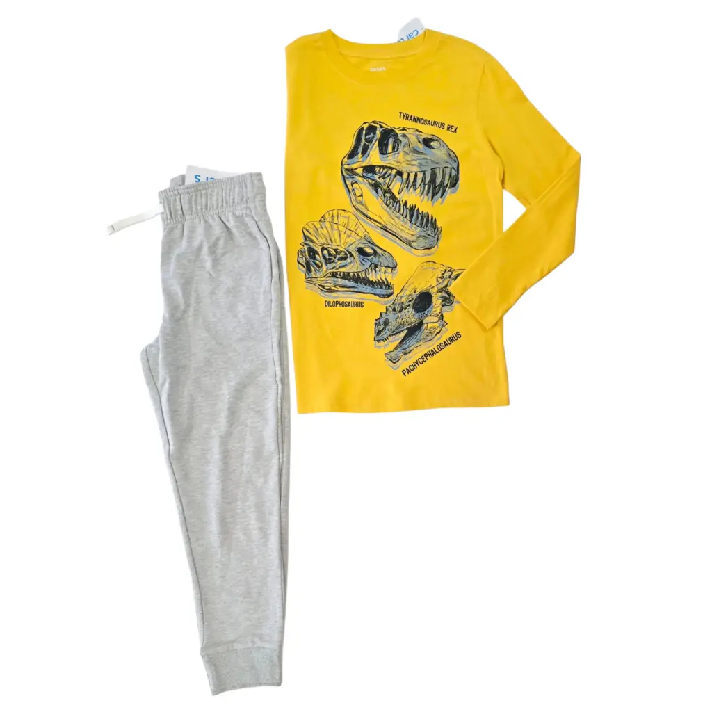 Camiseta 🦖 y buzo gris de algodón, talla 12