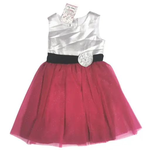 Vestido plateado y tutú fucsia, talla 8