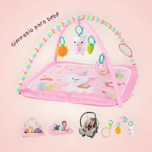 Gymansio para estomulacion sensorial.